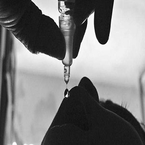 لاہور کے مختلف علاقوں میں 5 روزہ پولیو مہم کا آغاز کر دیا گیا