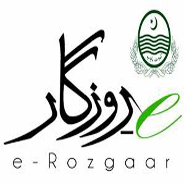  اسلامیہ گریجویٹ کالج میں ای روزگار ٹریننگ پروگرام کے داخلے جاری  