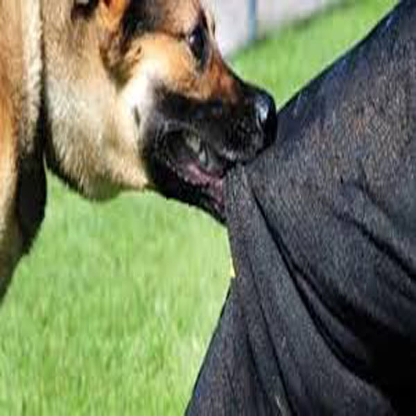 سرکاری لکڑی اٹھانے سے منع کرنے پر گارڈ پر کتا چھوڑ دیا  