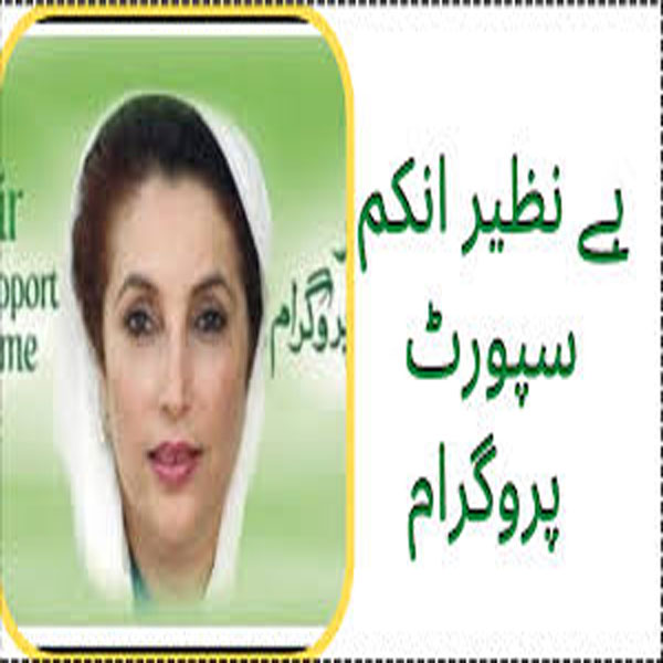 مستحق خاندانوں کی بحالی کے لئے کام کر رہے ہیں ، ڈائریکٹر بینظیر انکم سپورٹ پروگرام قصور 