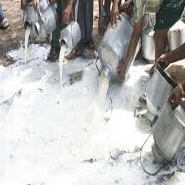 زہریلے کیمیکل سے دودھ بنانے والوں کیخلاف کریک ڈاؤن 