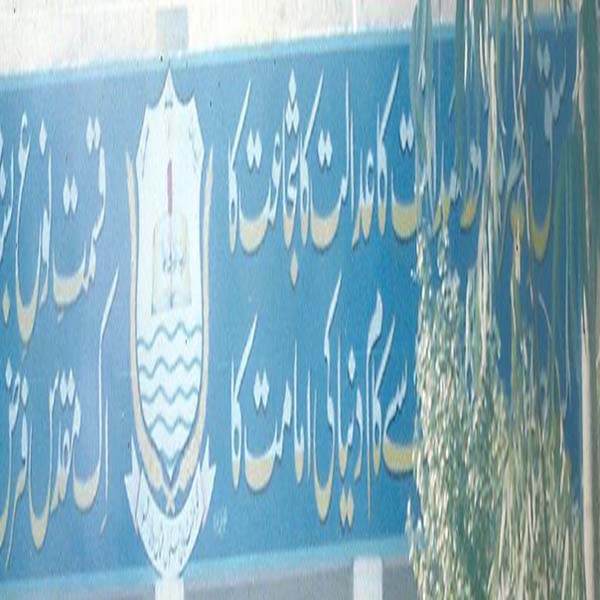 گورنمنٹ بوائز ہائی سکول عثمان والا کا اعزاز  