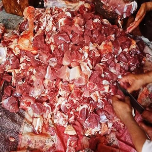 شورکوٹ میں حضرت سلطان باھو ٹرسٹ کے زیراہتمام  قربانی اور گوشت کی تقسیم 