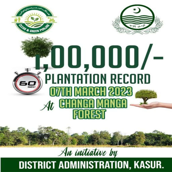 چھانگا مانگا جنگل میں شجرکاری مہم کا آغاز  