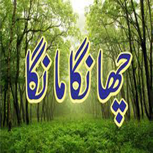 چھانگا مانگا جنگل میں ایک منٹ میں ایک لاکھ پودے لگائے جانے کا ریکارڈ قائم  