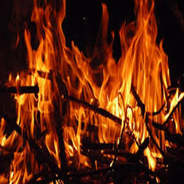 شارٹ سرکٹ سے لگنے والی آگ سے چار بکریاں ، بکرے ہلاک  