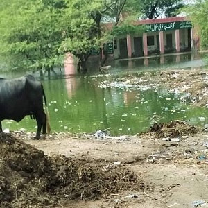 چک نمبر 465گ ب  میں گورنمنٹ پرائمری سکول کی حالت انتہائی ابتر