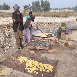 چک 142 گ ب ننا کیسار میں گنے کے رس سے گڑ کی تیاری کا کام جاری ہے 