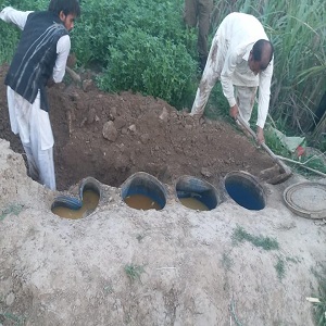 چک جھمرہ کے  چک 191 رب ملوآنی گاؤں کا کھیت فصل کے بجائے شراب کشید کرنے کی آماج گاہ بن گیا ، کھیت کی زمین کوفصل اگانے کے بجائے شراب بنانے کے لیے استعمال کیا جاتا رہا