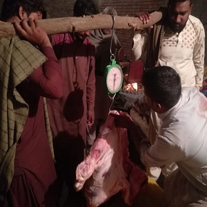 چک  نمبر 253 رب جہانگیر کلاں میں بہت سے کام اب بھی روایتی انداز میں انجام دیے جاتے ہیں