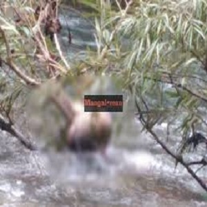 چک 134  کے گاوٗں میں  پرانی دشمنی پر فائرنگ ، چھ سالہ بچہ جاں بحق 