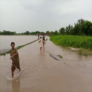  موضع عنایت پور بھٹیاں کے قریب لنک نہر میں شگاف، سینکڑوں ایکڑ پر کھڑی فصلیں تباہ