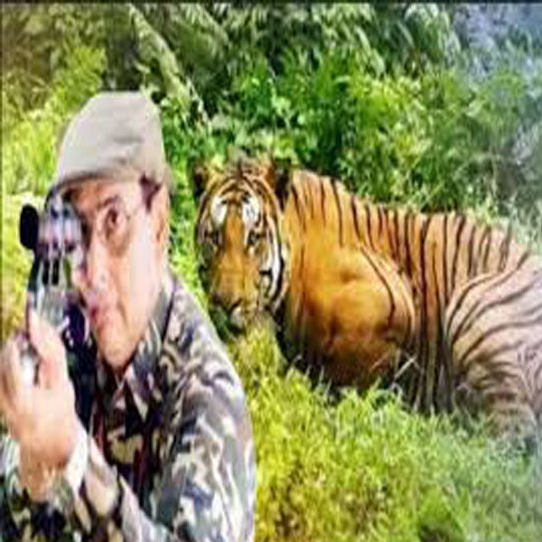 چھانگا مانگا جنگل میں شکاریوں کے ڈیرے ، کئی جانور غائب  