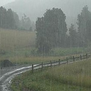 چک جھمرہ کے نواحی علاقے  دارالاحسان  میں گرج چمک کے ساتھ ہونے والی تیز بارش اور ژالہ باری سے گندم  کی کھڑی فصل کو نقصان پہنچنے کا اندیشہ 