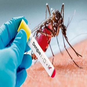لاہور میں ایک اورتصدیق شدہ ڈینگی کیس، مجموعی تعداد 52 ہوگئی