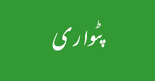 پٹواری کے ٹرانسفر آرڈر چیرمین سروس ٹربیونل نے منسوح کر دیا