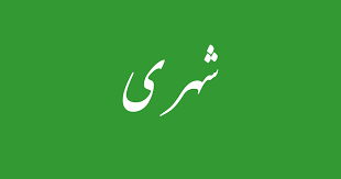 حکمران عوام کو زندہ درگور کرنے پر تلے ہیں ، شہری  