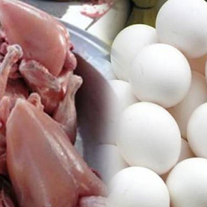 مرغی کے گوشت اور انڈوں کی قیمتیں آسمان سے باتیں کرنے لگیں