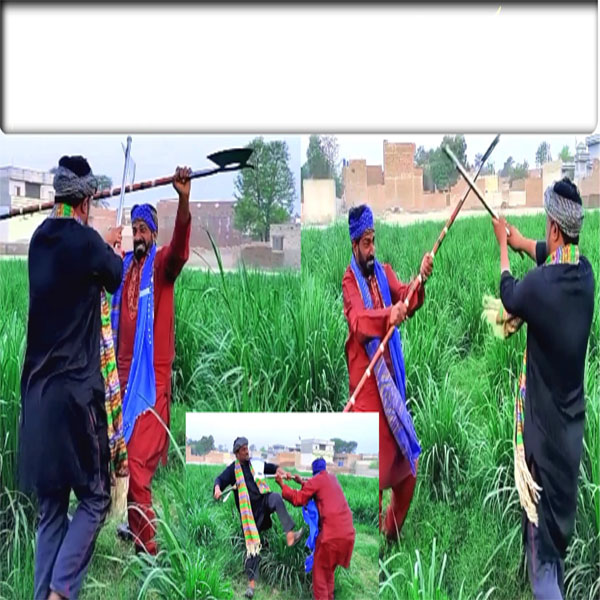 پنجاب کے دو شیروں نے میدان میں دھوم مچا دی  