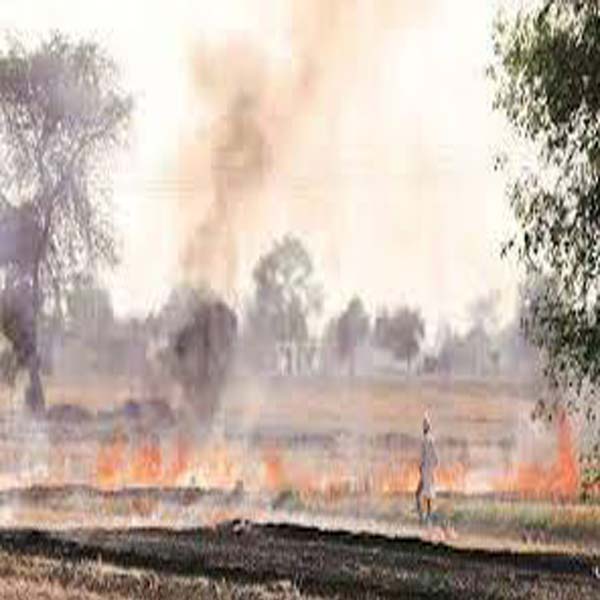 فصلوں کی باقیات جلانے پر دفعہ 144 نافذ  