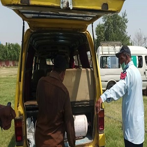  غیرمعیاری سی این جی اورایل پی جی سلنڈرزکی حامل مسافر گاڑیوں کے خلاف کارروائی