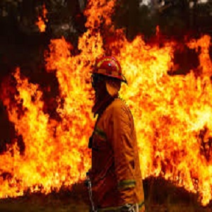 فیصل آباد کی انارکلی مارکیٹ میں آتشزدگی، 5 دکانوں میں موجود لاکھوں روپے کا سامان جل گیا 