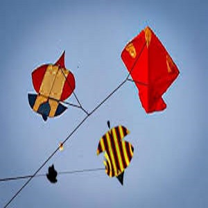 گوجرہ،پتنگ بازی سے منع کر نے پر چار افراد کی دو بھا ئیو ں کوسنگین نتائج کی دھمکیا ں