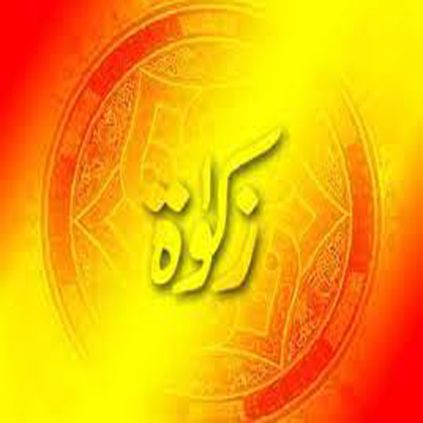 زکوٰۃ آفس قصور کے زیراہتمام سیمینارز اور آگاہی واک کا اہتمام 