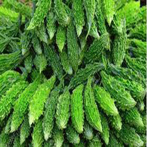 کاشتکار کریلے کی کاشت مارچ کے آخر تک مکمل کرلیں، ماہر زراعت 