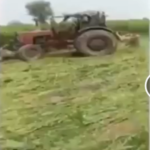 اینٹی کرپشن نے چک نمبر 229 ر ب میں 80 کروڑ کی سرکاری اراضی کی بازیاب کرالی