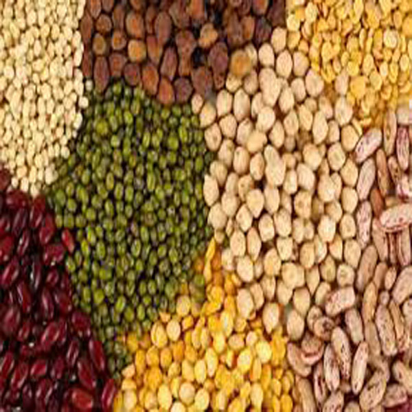 منہگائی کا جن بے قابو حکومت کے دعوے دھرے کے  دھرے رہ گئے ، حاجی عمران غوث  