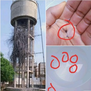 چک جھمرہ مدنی پارک واٹر ٹینکی پانی ناقابل استعمال ہوگیا ، انتظامیہ فوری توجہ دینے کی اپیل 