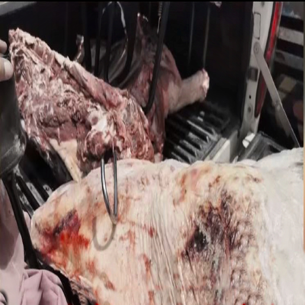 مضرِصحت گوشت بیچنے کی کوشش ناکام بنا دی گئی