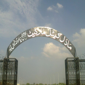 کمشنر، آر پی او اور ڈی سی   فیصل آباد کا 235 ر ب میں ماڈل کیٹل مارکیٹ کا دورہ