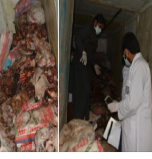 کاسی روڈ کے کولڈ اسٹور سے بدبو دارسری پائے اور اوجری بر آمد 