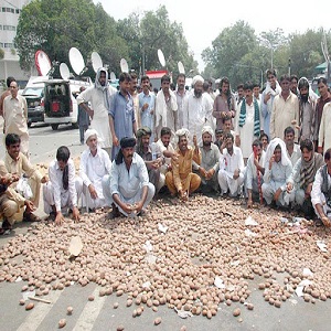 پاکستان کسان اتحاد کا ٹھوکر نیاز بیگ پر دھرنا