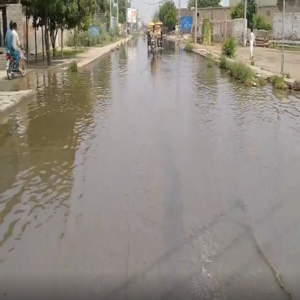 غلہ منڈی تا ریلوے پھاٹک جھنگ ٹوبہ روڈ پر نکاسی آب کا مسئلہ، سڑک دریا میں تبدیل 