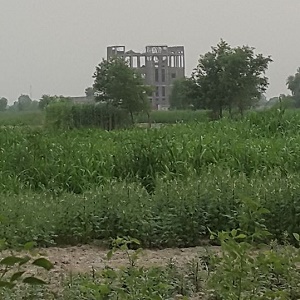 چک 140 گ ب سردار کوٹ میں فلور ملز کا قیام 