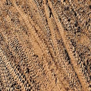 سمندری کی سڑکوں کو بھرنے کے لیے خاکی مٹی سے شہری پریشان 