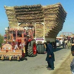 سمندری روڈ پر گنے کا ٹرک حد  سے زائد  وزن لیے گزر رہا ہے ۔ اوور لوڈنگ اکثر بڑے حادثے کا بھی سبب بنتی ہے