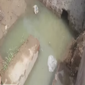 محلہ توحید پورہ میں سیوریج کے پانی کی نکاسی کا خراب انتظام 