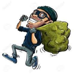 گندم کے جعلی بیج فروخت کرنے والا گروہ سرگرم، کاشتکار کو 5 لاکھ کا نقصان