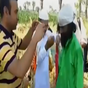 تاندلیانوالہ میں ایک شخص نے ایک دن میں ایک ایکڑ گندم کی  فصل کاٹ کر نیا ریکارڈ قائم کردیا