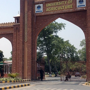 یو اے ایف  اور فوڈ کمپنی نے تحقیق کے لئے معاہدے پر دستخط کردیے