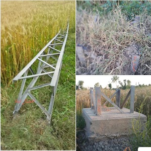 چک جھمرہ گریڈ اسٹیشن کے نواحی گاؤں میں واپڈا ملازمین و افسران کی مبیّنہ ملی بھگت سے بجلی کے پول کاٹنے کا سکینڈل