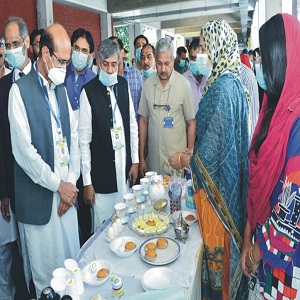 پاکستان میں انڈوں کا سالانہ فی کس استعمال 65 سے زیادہ نہیں، عوام میں انڈوں کی اہمیت اجاگر کرنے کی ضرورت ہے، ماہرین  